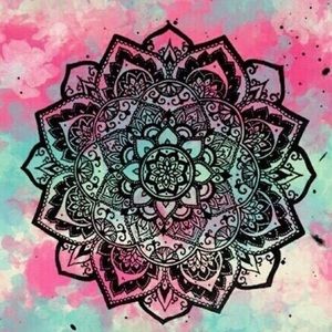 Meet your Posher, Katelyn